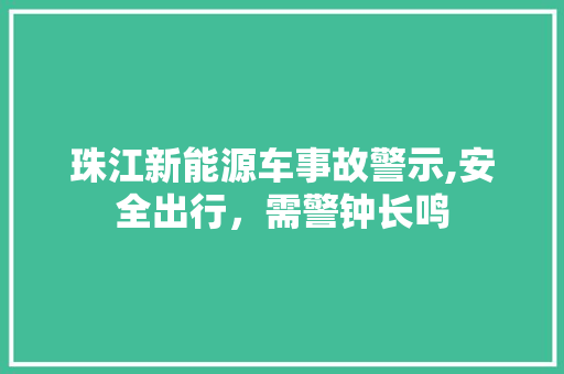 珠江新能源车事故警示,安全出行，需警钟长鸣 车灯配件
