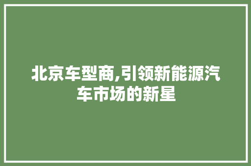 北京车型商,引领新能源汽车市场的新星