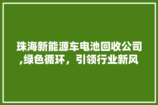珠海新能源车电池回收公司,绿色循环，引领行业新风向