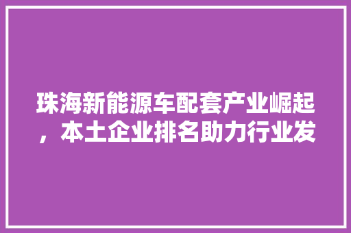 珠海新能源车配套产业崛起，本土企业排名助力行业发展 车身配件
