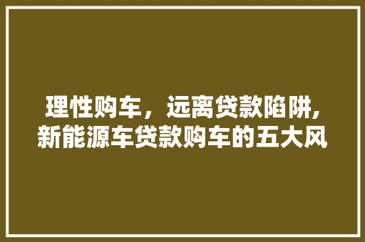 理性购车，远离贷款陷阱,新能源车贷款购车的五大风险
