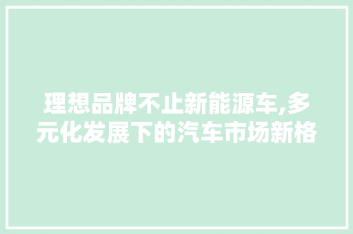 理想品牌不止新能源车,多元化发展下的汽车市场新格局