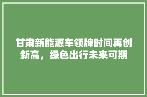 甘肃新能源车领牌时间再创新高，绿色出行未来可期