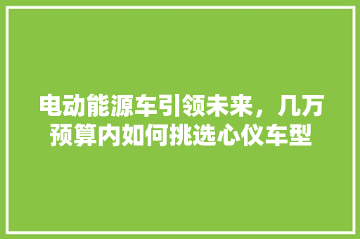 电动能源车引领未来，几万预算内如何挑选心仪车型
