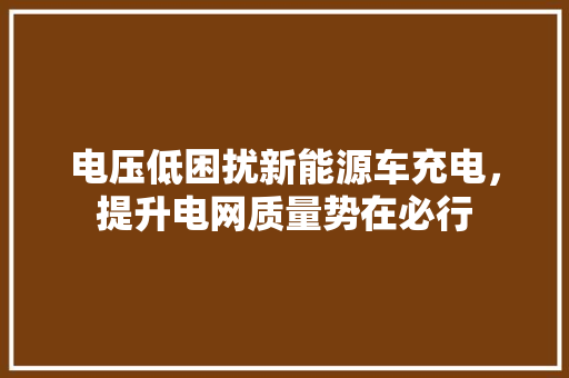 电压低困扰新能源车充电，提升电网质量势在必行