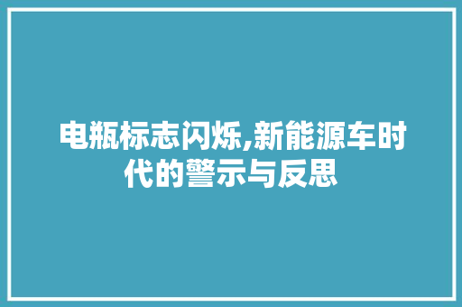电瓶标志闪烁,新能源车时代的警示与反思