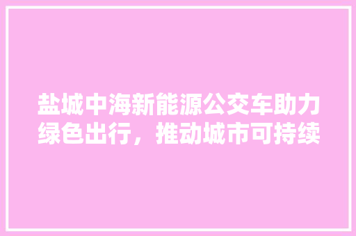 盐城中海新能源公交车助力绿色出行，推动城市可持续发展