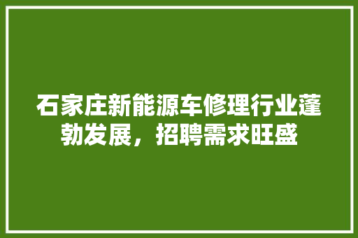 石家庄新能源车修理行业蓬勃发展，招聘需求旺盛