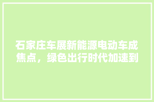 石家庄车展新能源电动车成焦点，绿色出行时代加速到来