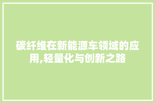 碳纤维在新能源车领域的应用,轻量化与创新之路