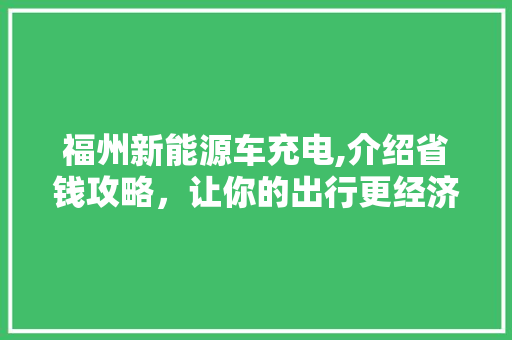 福州新能源车充电,介绍省钱攻略，让你的出行更经济环保