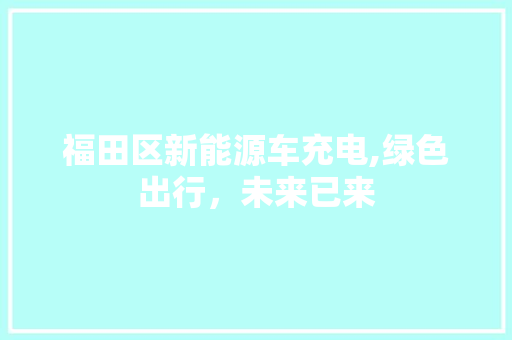 福田区新能源车充电,绿色出行，未来已来