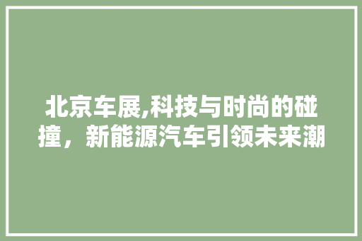 北京车展,科技与时尚的碰撞，新能源汽车引领未来潮流