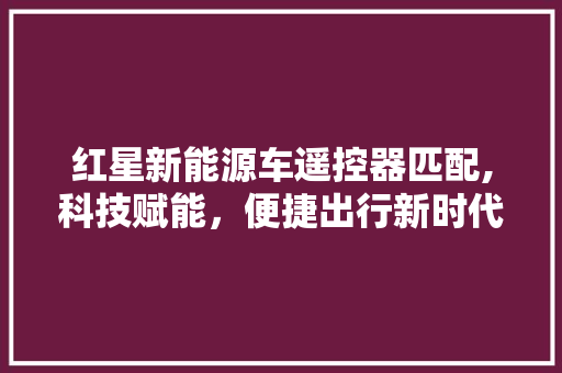 红星新能源车遥控器匹配,科技赋能，便捷出行新时代