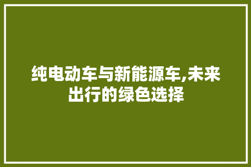 纯电动车与新能源车,未来出行的绿色选择