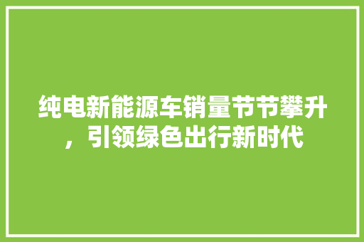 纯电新能源车销量节节攀升，引领绿色出行新时代