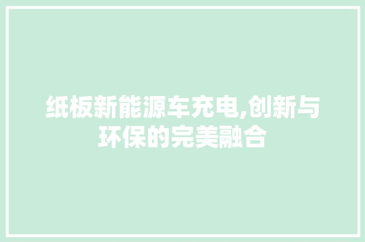 纸板新能源车充电,创新与环保的完美融合