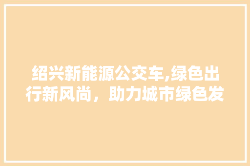 绍兴新能源公交车,绿色出行新风尚，助力城市绿色发展