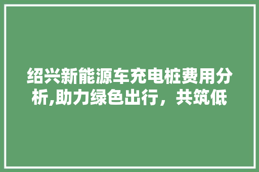 绍兴新能源车充电桩费用分析,助力绿色出行，共筑低碳未来