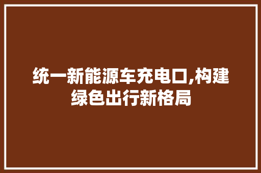 统一新能源车充电口,构建绿色出行新格局