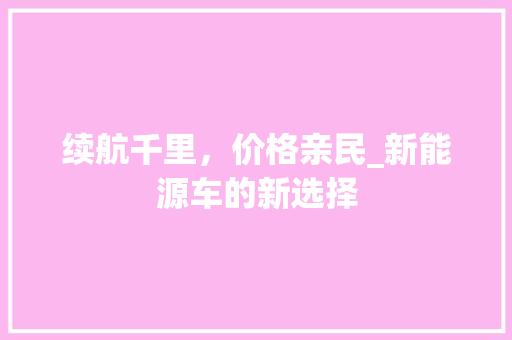 续航千里，价格亲民_新能源车的新选择