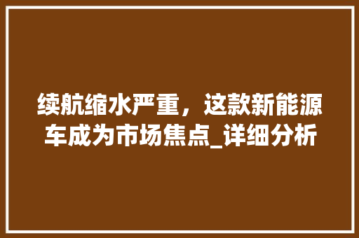 续航缩水严重，这款新能源车成为市场焦点_详细分析