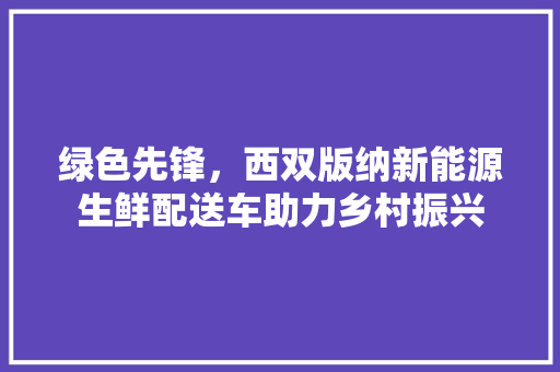 绿色先锋，西双版纳新能源生鲜配送车助力乡村振兴