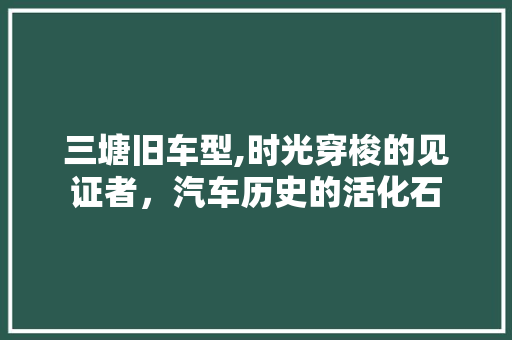 三塘旧车型,时光穿梭的见证者，汽车历史的活化石 车身配件