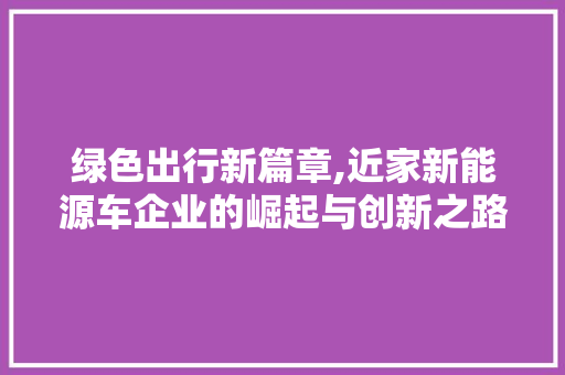 绿色出行新篇章,近家新能源车企业的崛起与创新之路 蓄电池配件