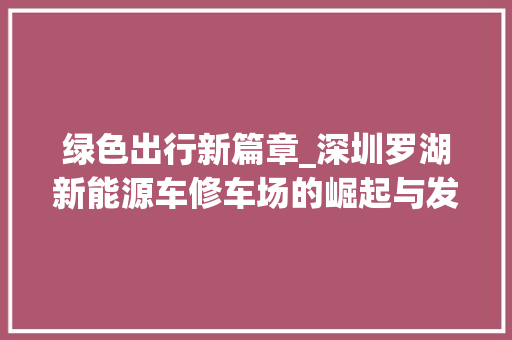 绿色出行新篇章_深圳罗湖新能源车修车场的崛起与发展