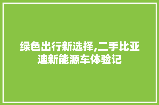 绿色出行新选择,二手比亚迪新能源车体验记