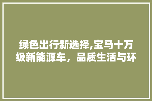 绿色出行新选择,宝马十万级新能源车，品质生活与环保同行