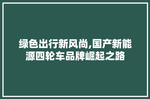 绿色出行新风尚,国产新能源四轮车品牌崛起之路