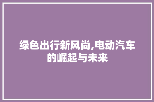 绿色出行新风尚,电动汽车的崛起与未来