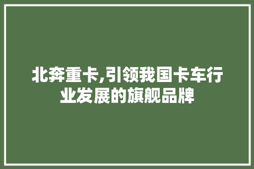 北奔重卡,引领我国卡车行业发展的旗舰品牌