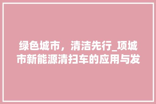 绿色城市，清洁先行_项城市新能源清扫车的应用与发展
