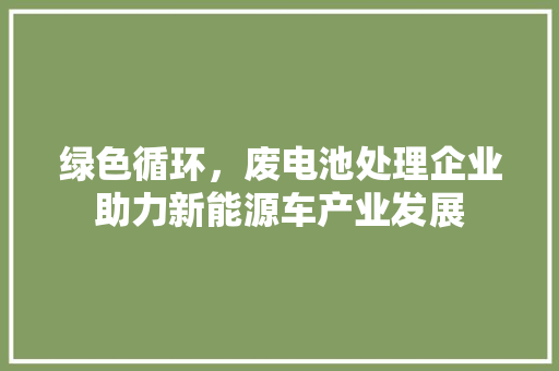 绿色循环，废电池处理企业助力新能源车产业发展