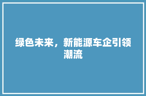 绿色未来，新能源车企引领潮流