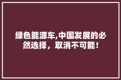 绿色能源车,中国发展的必然选择，取消不可能！