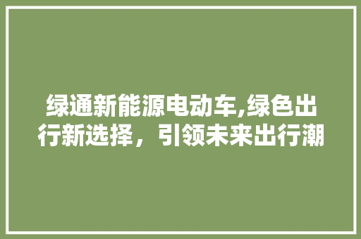 绿通新能源电动车,绿色出行新选择，引领未来出行潮流