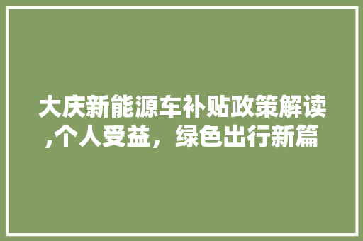 大庆新能源车补贴政策解读,个人受益，绿色出行新篇章