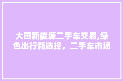 大田新能源二手车交易,绿色出行新选择，二手车市场新亮点