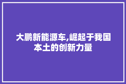 大鹏新能源车,崛起于我国本土的创新力量