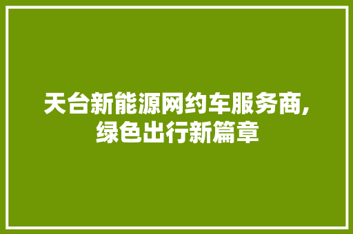 天台新能源网约车服务商,绿色出行新篇章 车灯配件