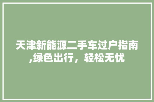 天津新能源二手车过户指南,绿色出行，轻松无忧