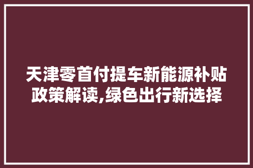 天津零首付提车新能源补贴政策解读,绿色出行新选择 新能源汽车