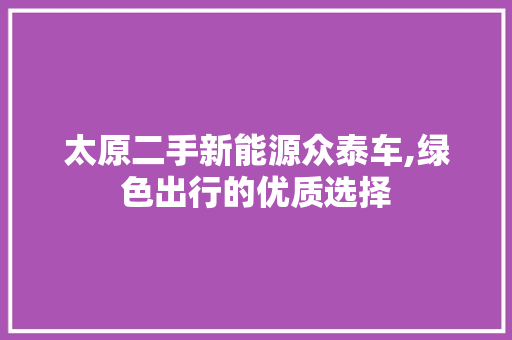 太原二手新能源众泰车,绿色出行的优质选择