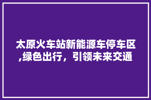 太原火车站新能源车停车区,绿色出行，引领未来交通新风尚