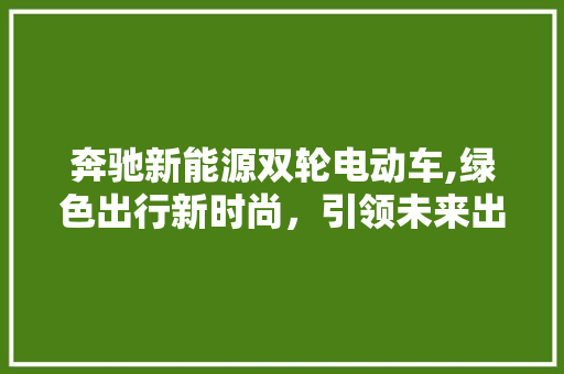 奔驰新能源双轮电动车,绿色出行新时尚，引领未来出行潮流