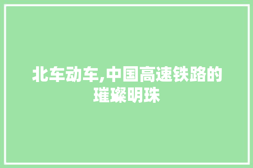 北车动车,中国高速铁路的璀璨明珠